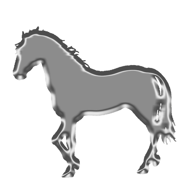 Silver Horse