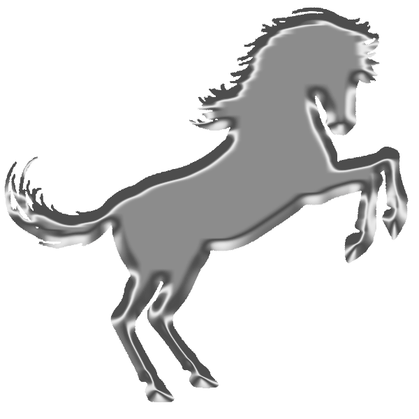 Silver Horse